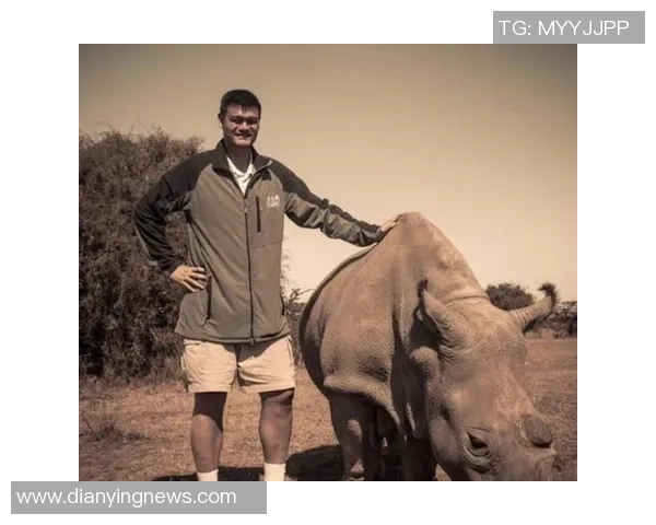 库里与姚明的传奇对决：篮球巨星的巅峰时刻与友谊的交融